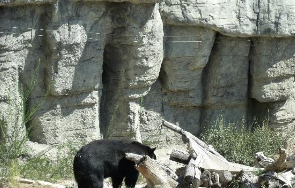 Post Time Inn At Living Desert Zoo & Gardens State Park
