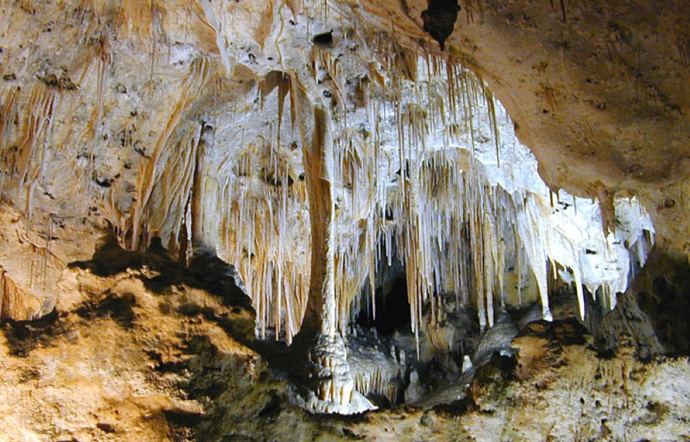 Post Time Inn At Carlsbad Caverns
